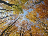 Beskid Niski